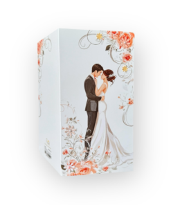 Print Plus-V48