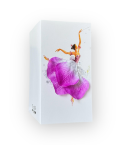 Print Plus-S45